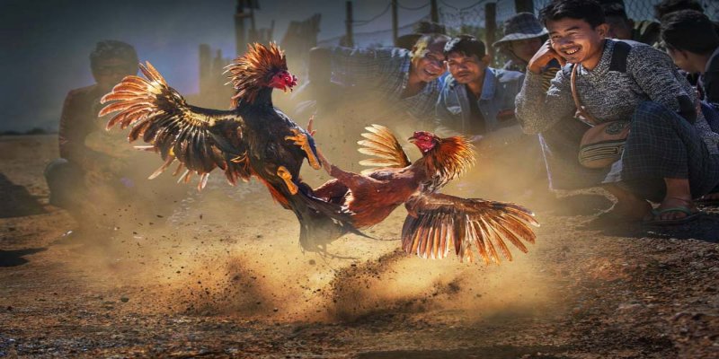 Luyện kỹ năng và chiến thuật