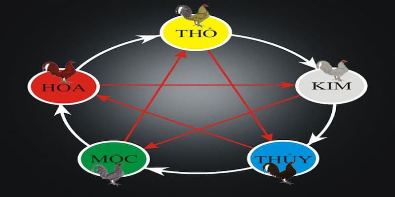 Coi ngày theo ngũ hành