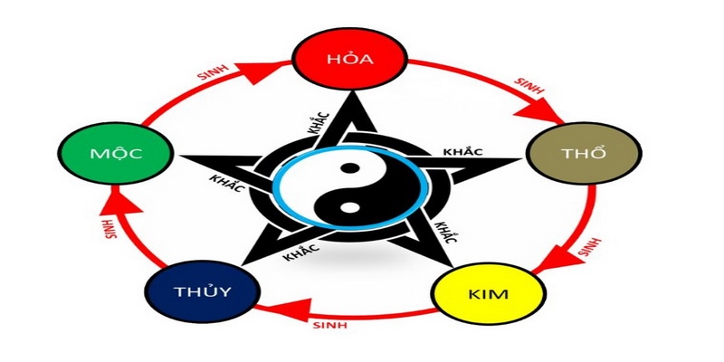 Nhiều anh em đã may mắn khi lựa chọn gà dựa vào ngũ hành